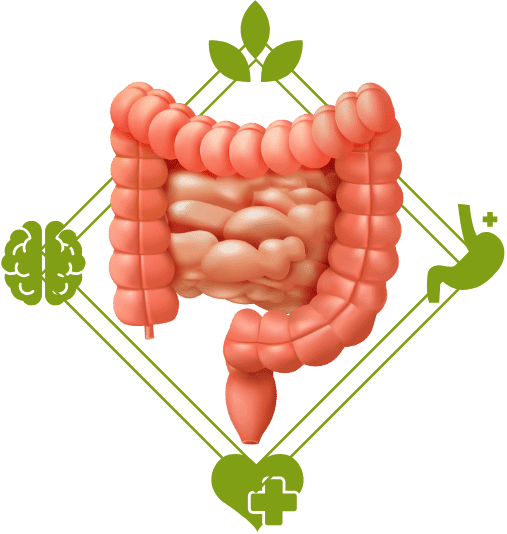 [Mockup Principal Reprograma tu Estómago]